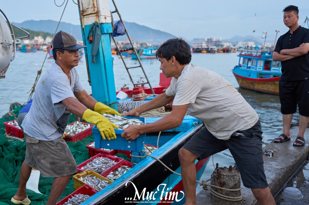 Một ngày khám phá bến cá Vĩnh Trường - Ảnh 16.