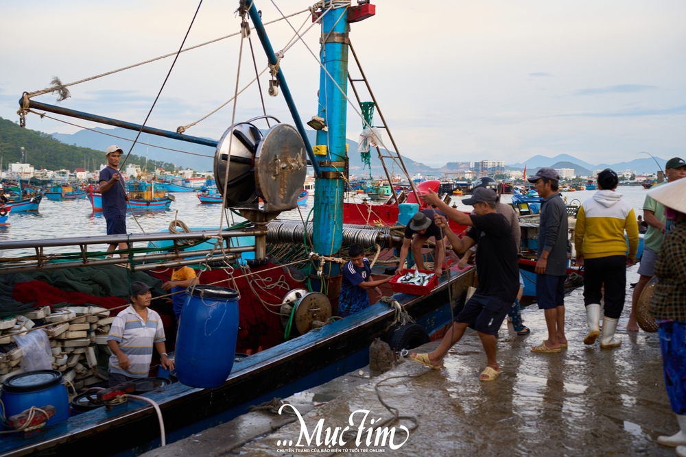Một ngày khám phá bến cá Vĩnh Trường - Ảnh 17.