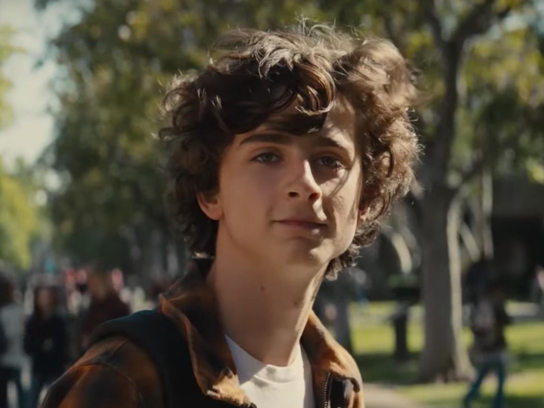 Hiện tượng màn bạc Timothée Chalamet và ngai vàng của tuổi 23 - Ảnh 5.