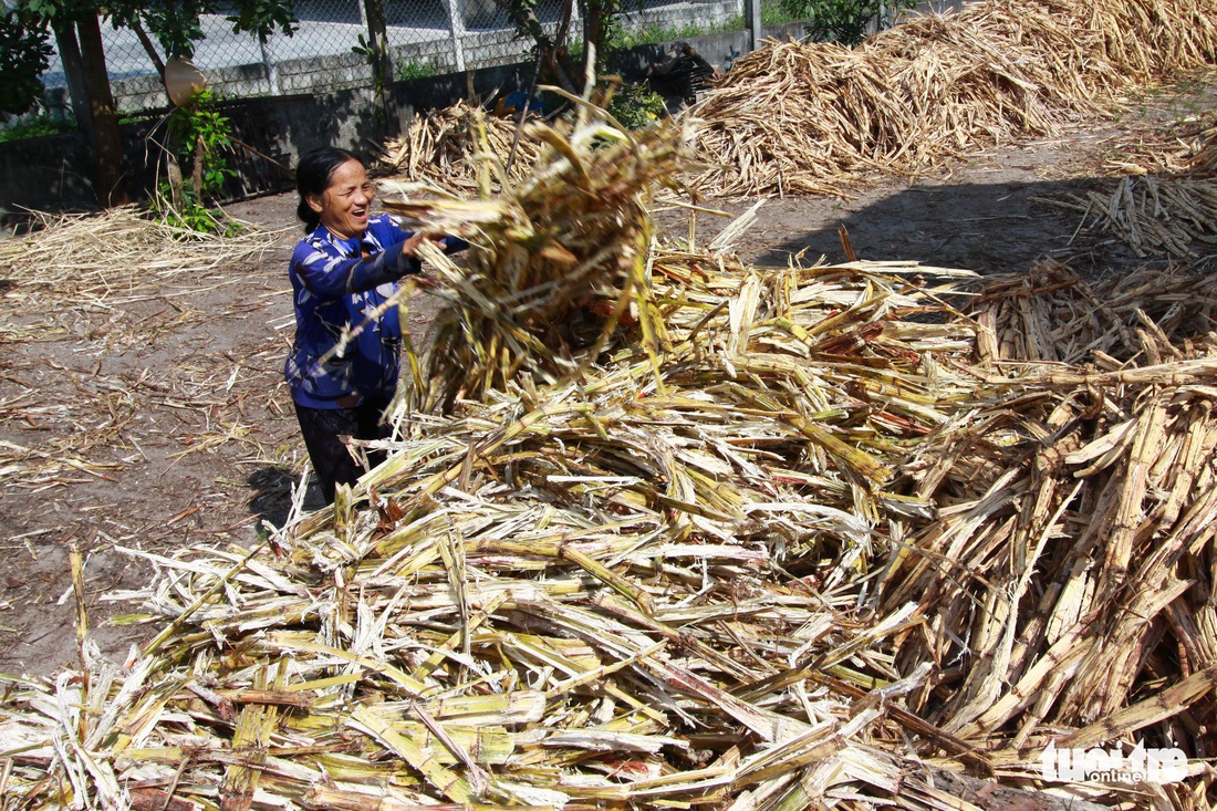 Cần mẫn chắt chiu từng giọt đường - Ảnh 4.