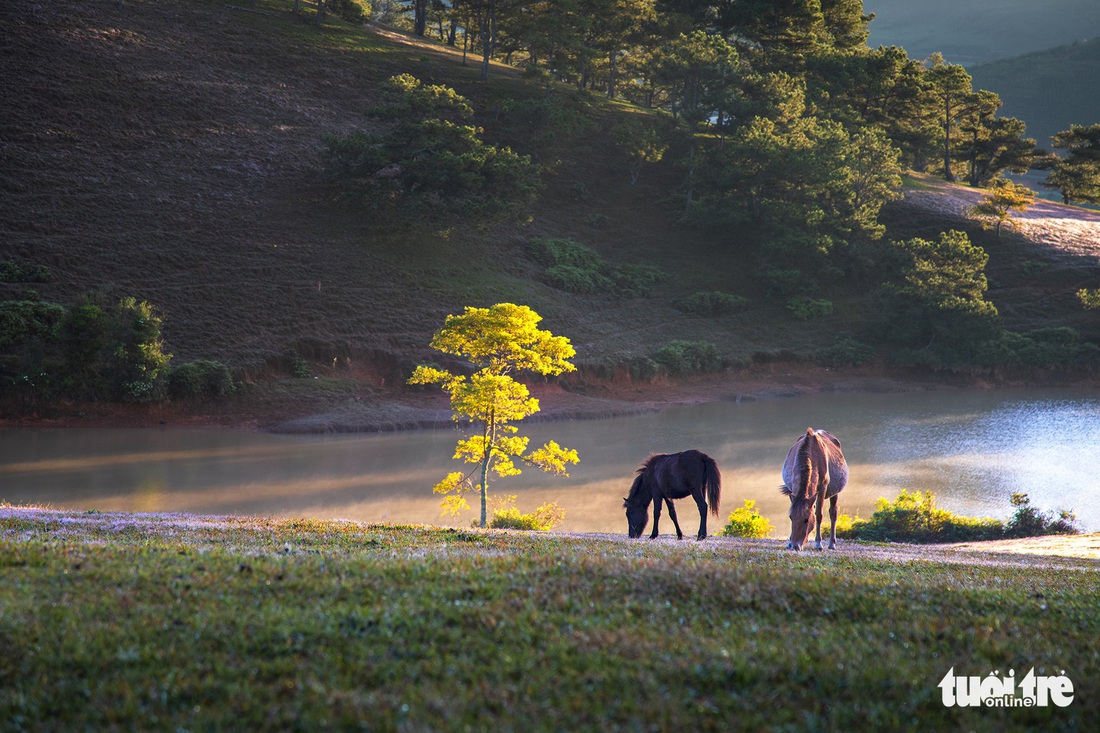 5 khanh hoang__03