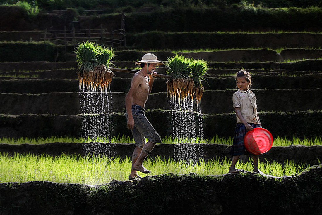 Ngây ngất với thiên nhiên và đời sống người Việt  qua ảnh - Ảnh 8.