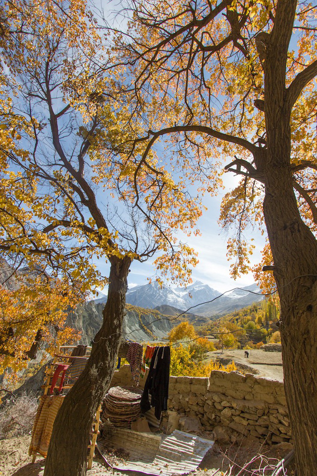 Huyền thoại mùa thu ở Hunza - miền Bắc Pakistan - Ảnh 8.