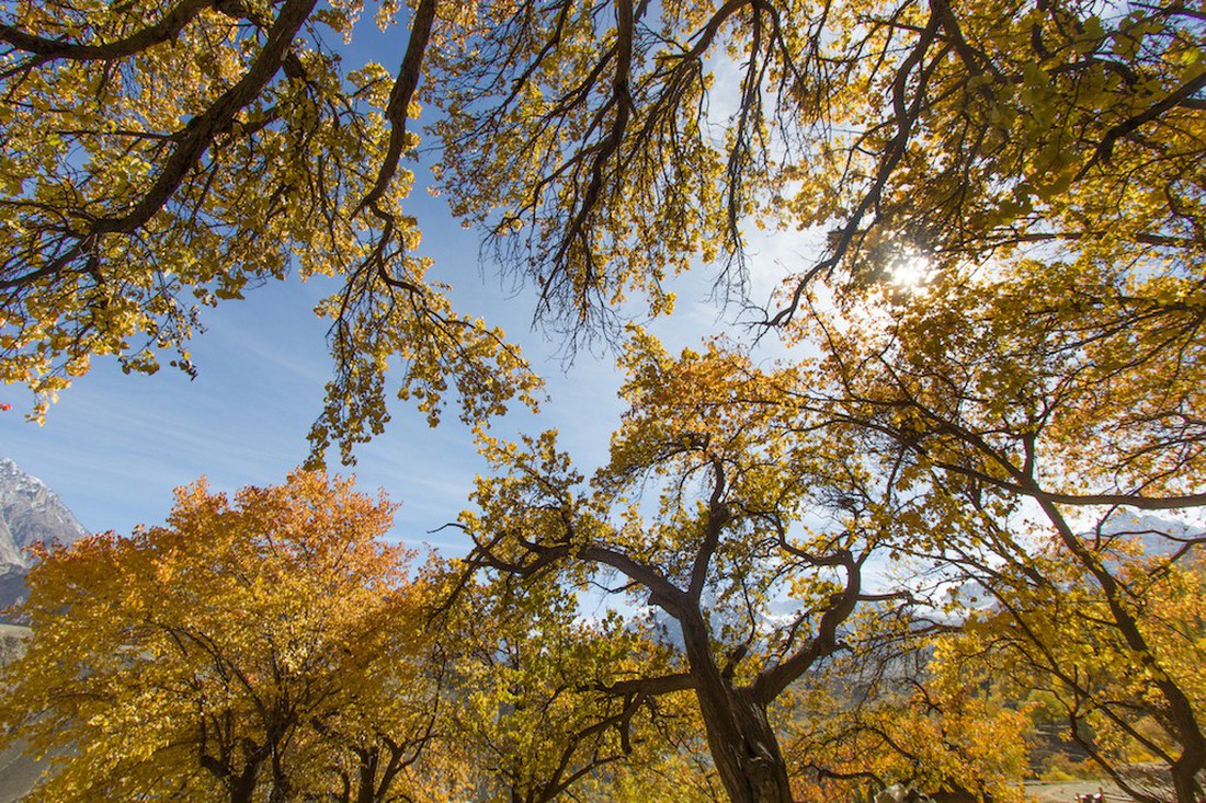 Huyền thoại mùa thu ở Hunza - miền Bắc Pakistan - Ảnh 10.