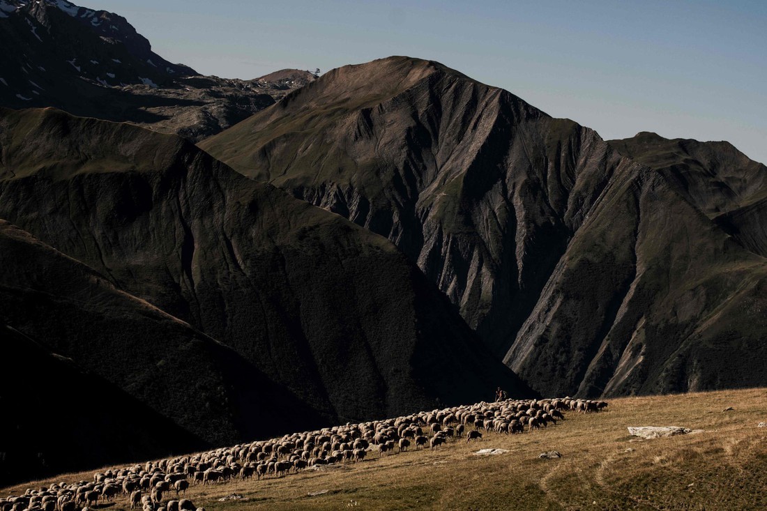 Theo chân người chăn cừu trên vùng đồng cỏ núi Alps - Ảnh 12.