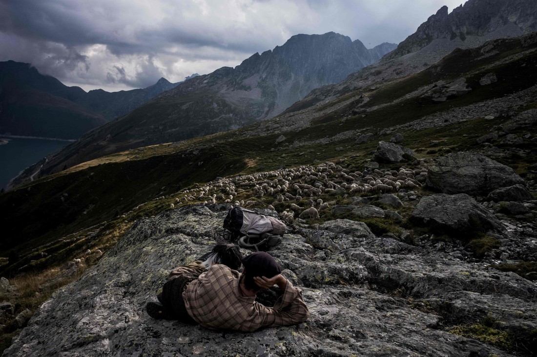 Theo chân người chăn cừu trên vùng đồng cỏ núi Alps - Ảnh 16.