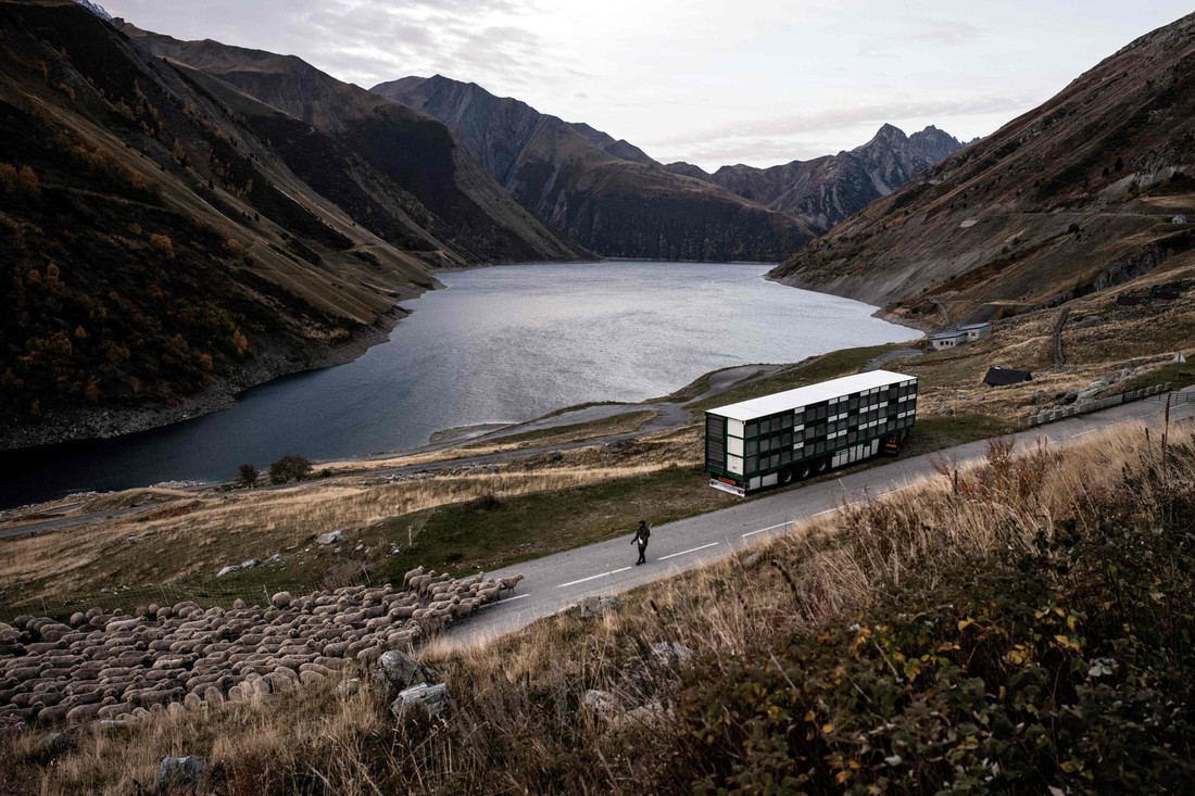 Theo chân người chăn cừu trên vùng đồng cỏ núi Alps - Ảnh 19.