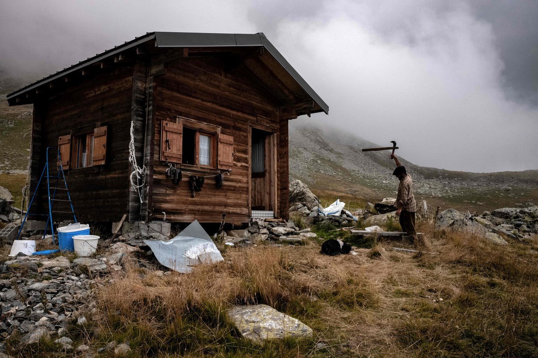 Theo chân người chăn cừu trên vùng đồng cỏ núi Alps - Ảnh 7.