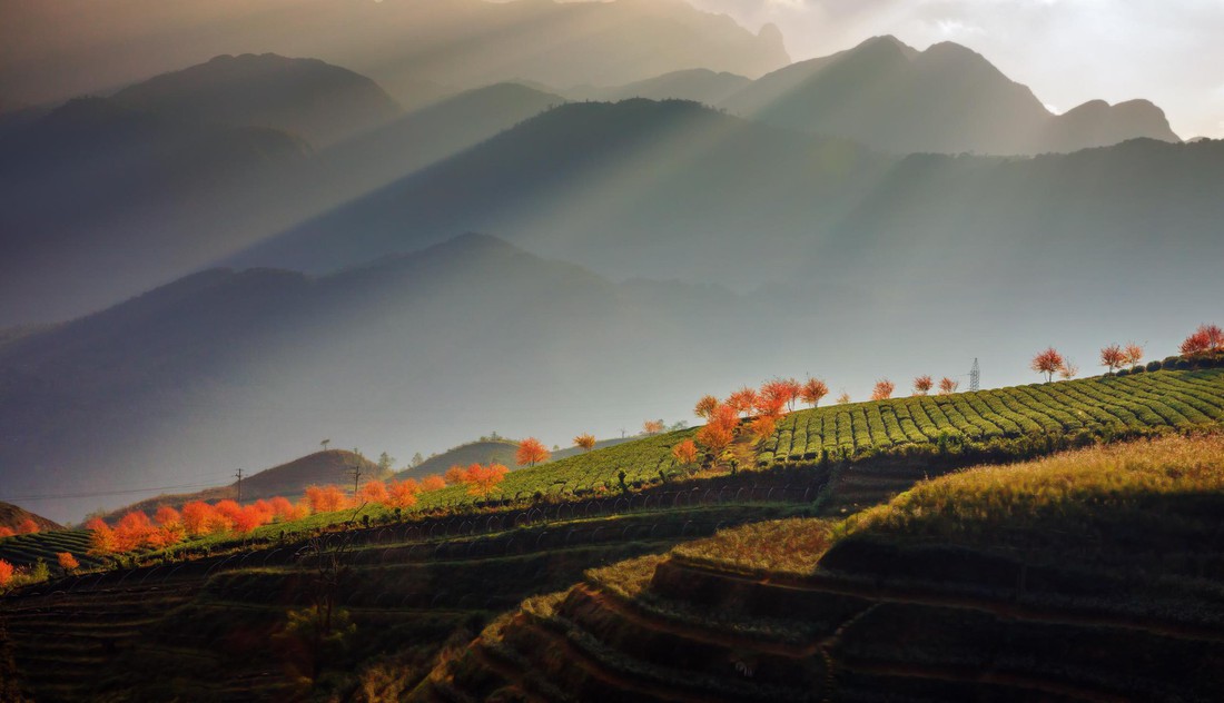 Hoàng Liên Sơn - điểm du lịch đáng đến 2019 của National Geographic - Ảnh 11.