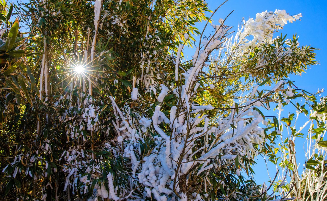 Hoàng Liên Sơn - điểm du lịch đáng đến 2019 của National Geographic - Ảnh 9.