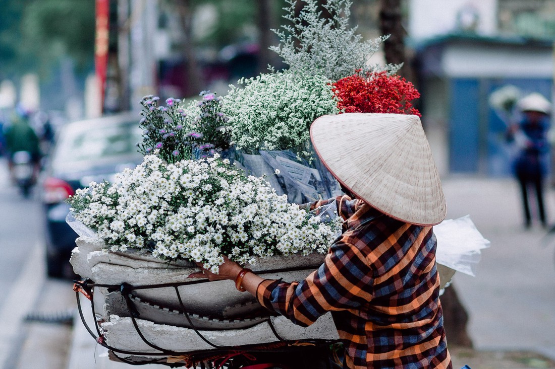 Phút chùng lòng cuối năm, rưng rưng nhớ những mùa hoa Hà Nội - Ảnh 16.