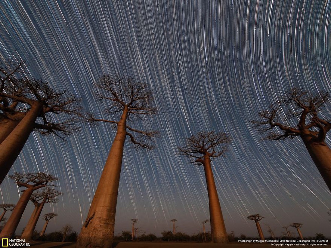 Ngắm ảnh ấn tượng cuộc thi National Geographic Photo Contest 2018 - Ảnh 16. Ngắm ảnh ấn tượng cuộc thi National Geographic Photo Contest 2018 - Ảnh 16.