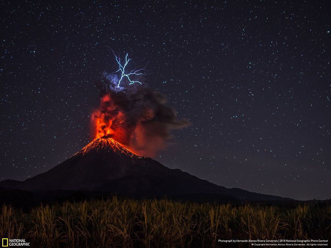 Ngắm ảnh ấn tượng cuộc thi National Geographic Photo Contest 2018 - Ảnh 4. Ngắm ảnh ấn tượng cuộc thi National Geographic Photo Contest 2018 - Ảnh 4.