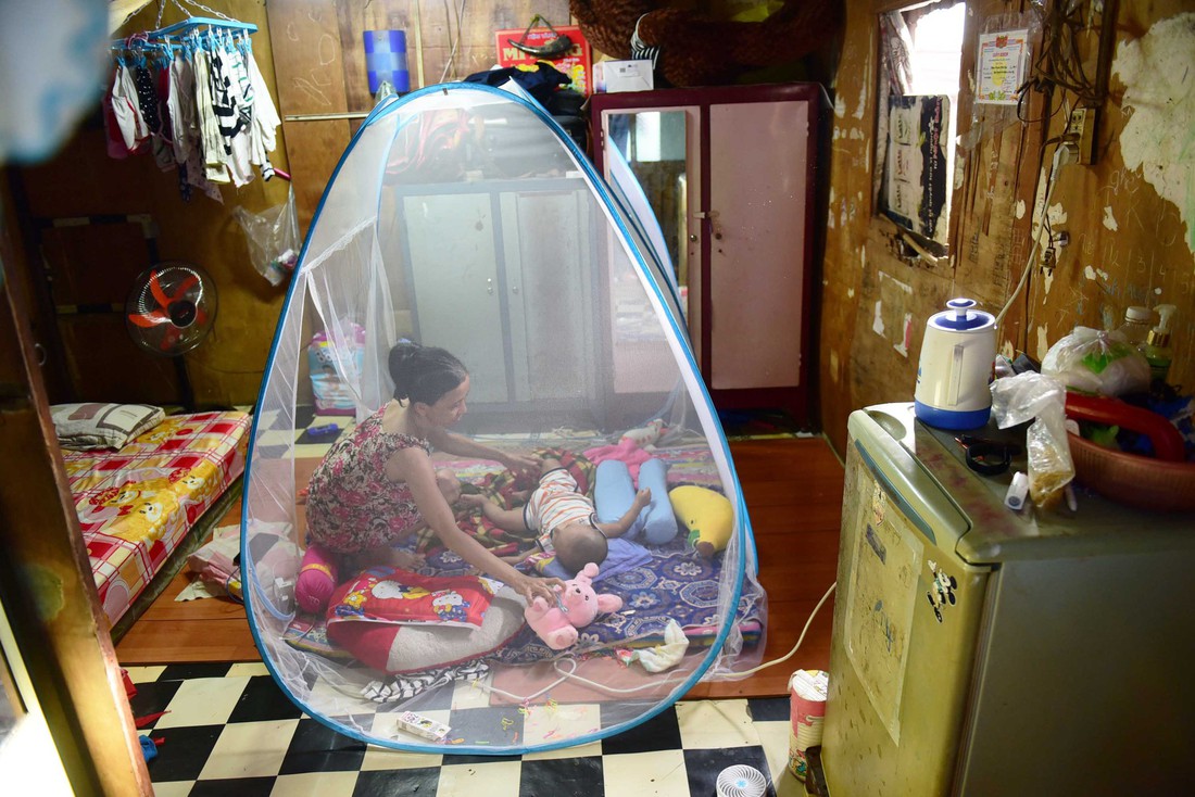 Mơ con rạch trở lại trong xanh - Ảnh 6. Mơ con rạch trở lại trong xanh - Ảnh 6.