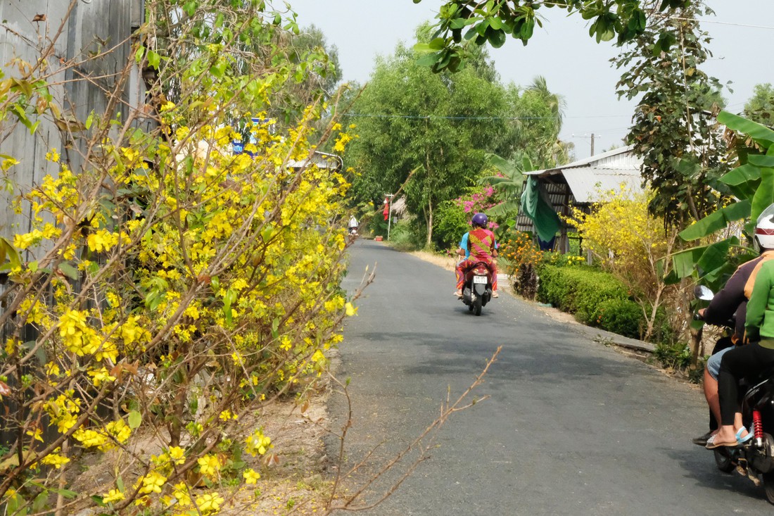 Miền Tây ngày giáp tết: gốc mai, bông thọ và... Đắp mộ cuộc tình - Ảnh 1.