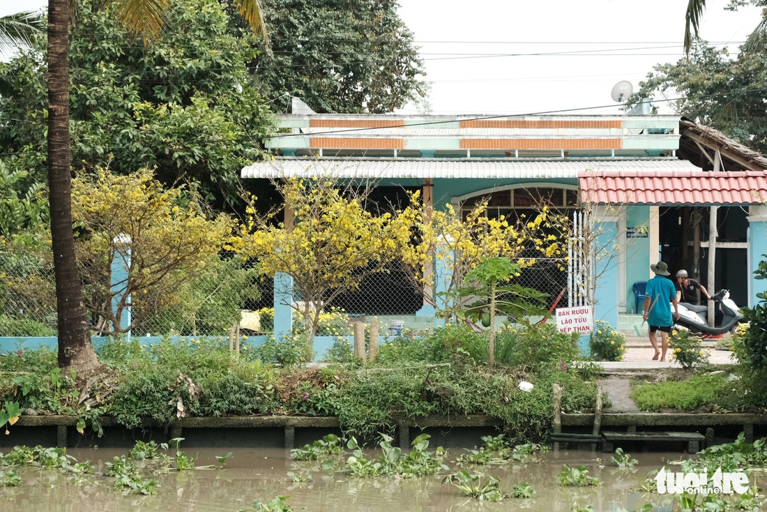 Miền Tây ngày giáp tết: gốc mai, bông thọ và... Đắp mộ cuộc tình - Ảnh 11.