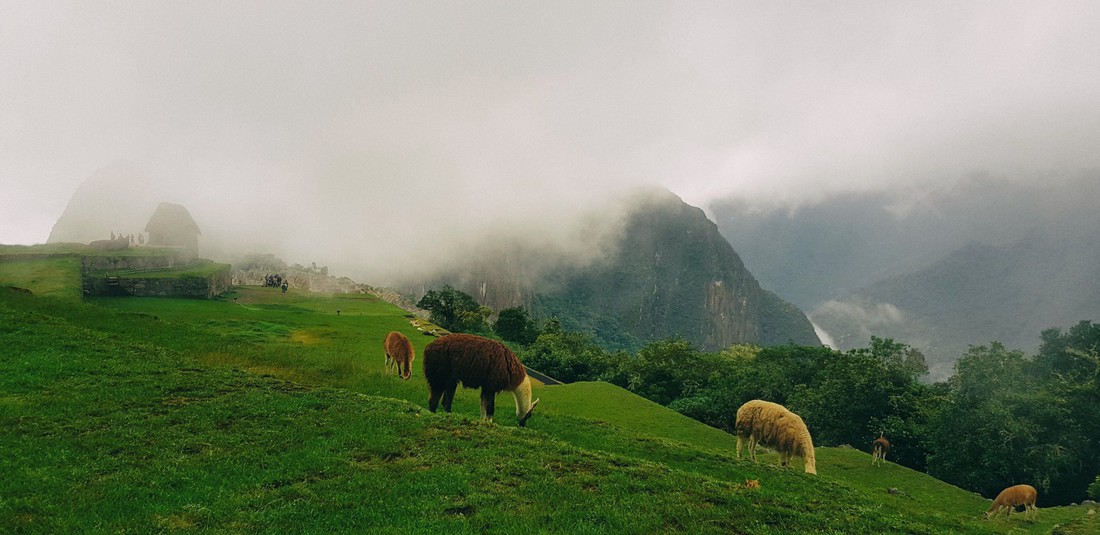 Trần Đặng Đăng Khoa chia sẻ kinh nghiệm đến kỳ quan Machu Picchu - Ảnh 5.