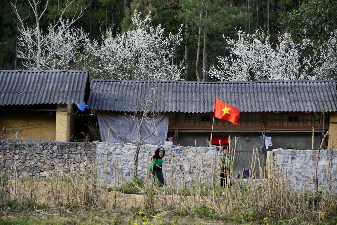 Tết trên cao nguyên - Ảnh 1.