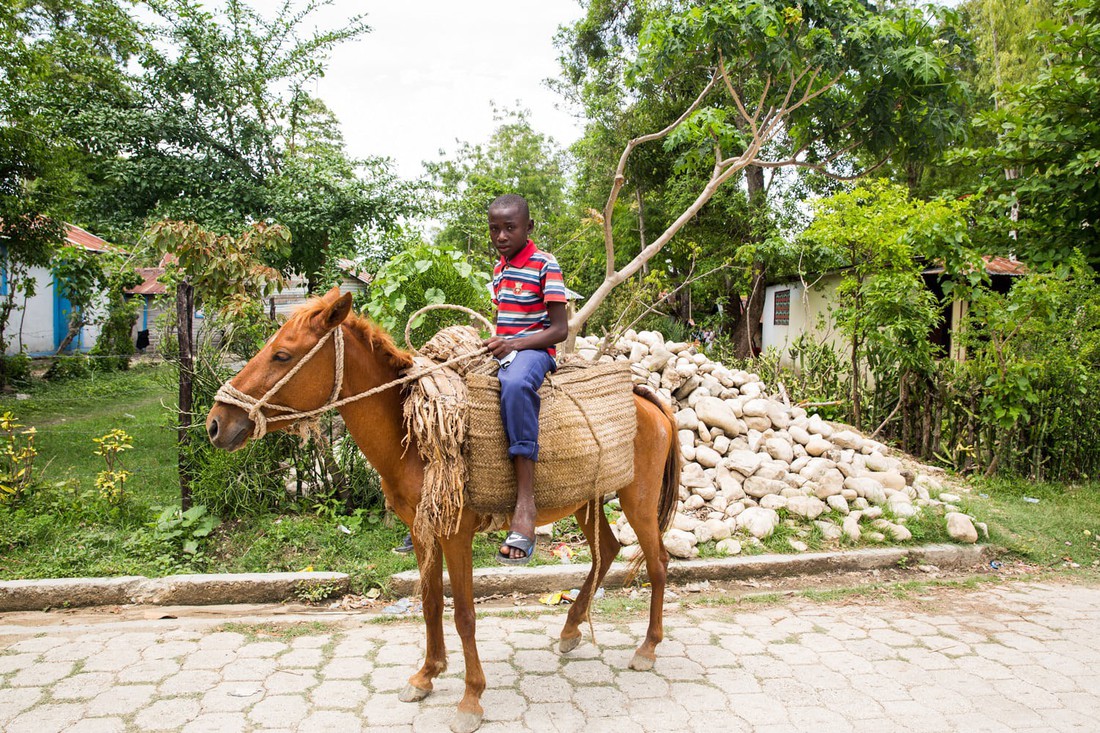 Những hình ảnh sống động từ Haiti - Ảnh 15.