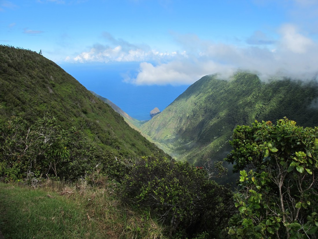 Đi Hawaii thật là oai - Ảnh 7.