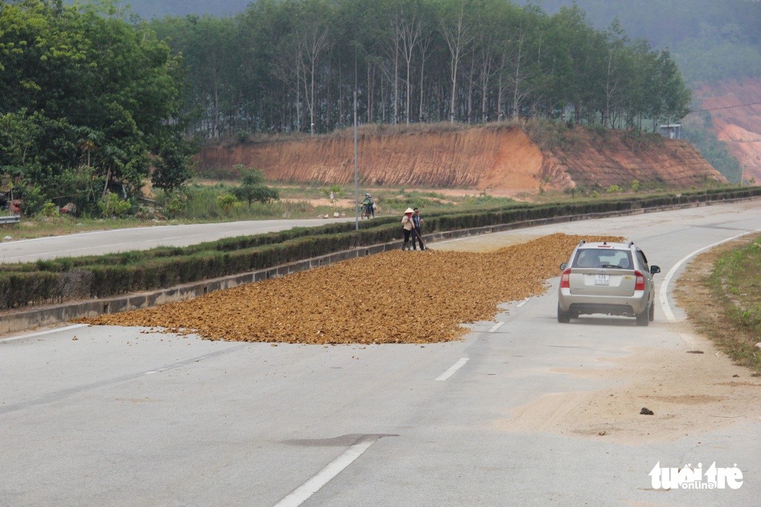 Đường đẹp nhất Tây Nguyên thành... sân phơi nông sản - Ảnh 2.