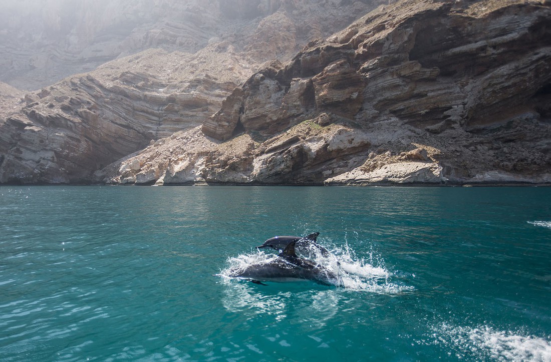 Đến Yemen khám phá vùng đất cây máu rồng Socotra - Ảnh 12.