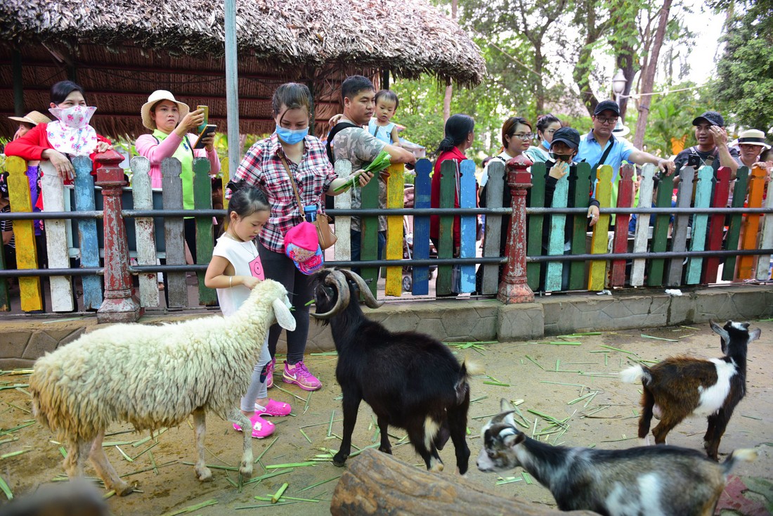 Người Sài Gòn mắc võng trốn nắng ở Thảo cầm viên - Ảnh 13.