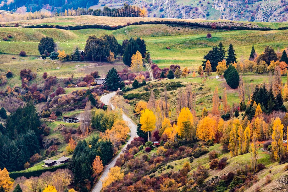 New Zealand - mùa thu mê đắm lòng người - Ảnh 13.