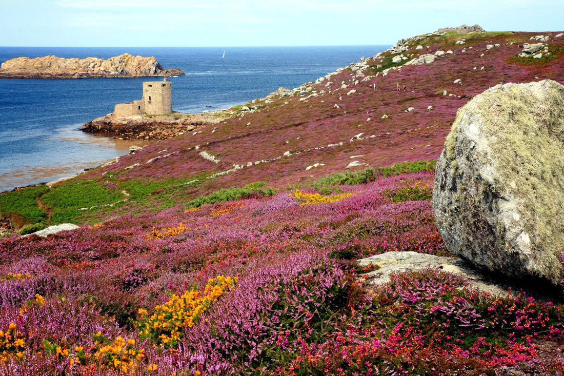 Đến ‘xứ sở thần tiên’ Cornwall, nghe ‘thiên tình cổ’ Tristan và Isolde - Ảnh 4.