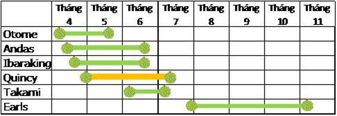 Hè này, khám phá thiên đường dưa lưới Ibaraki  - Ảnh 13.