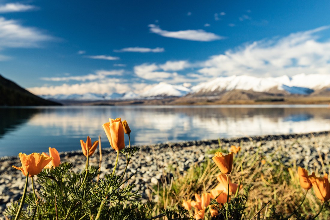 New Zealand - mùa thu mê đắm lòng người - Ảnh 6.