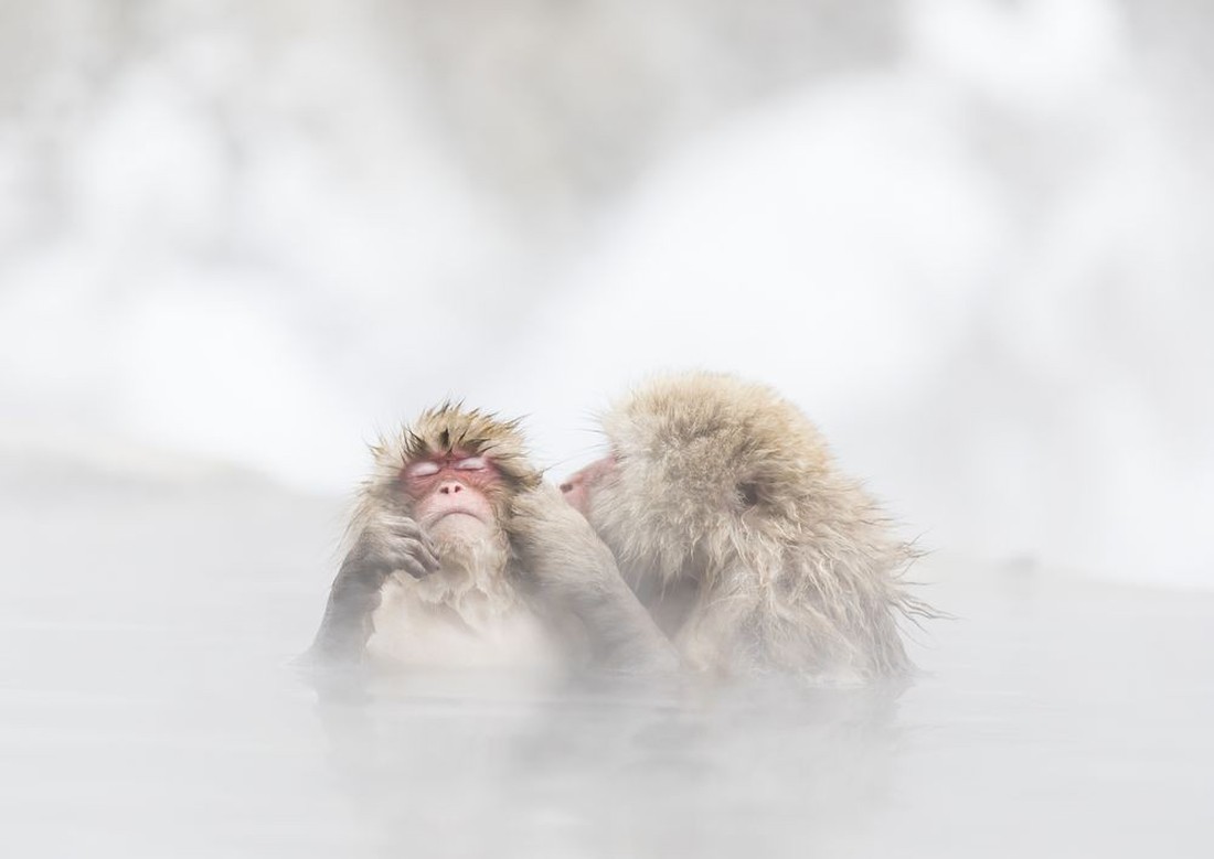 Ảnh thiên nhiên đẹp ngẩn ngơ từ cuộc thi ảnh du lịch NatGeo - Ảnh 1.