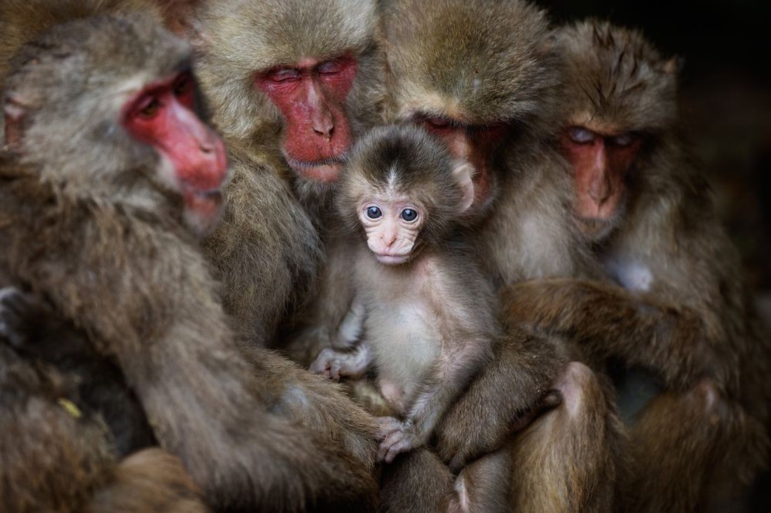 Ảnh thiên nhiên đẹp ngẩn ngơ từ cuộc thi ảnh du lịch NatGeo - Ảnh 16.