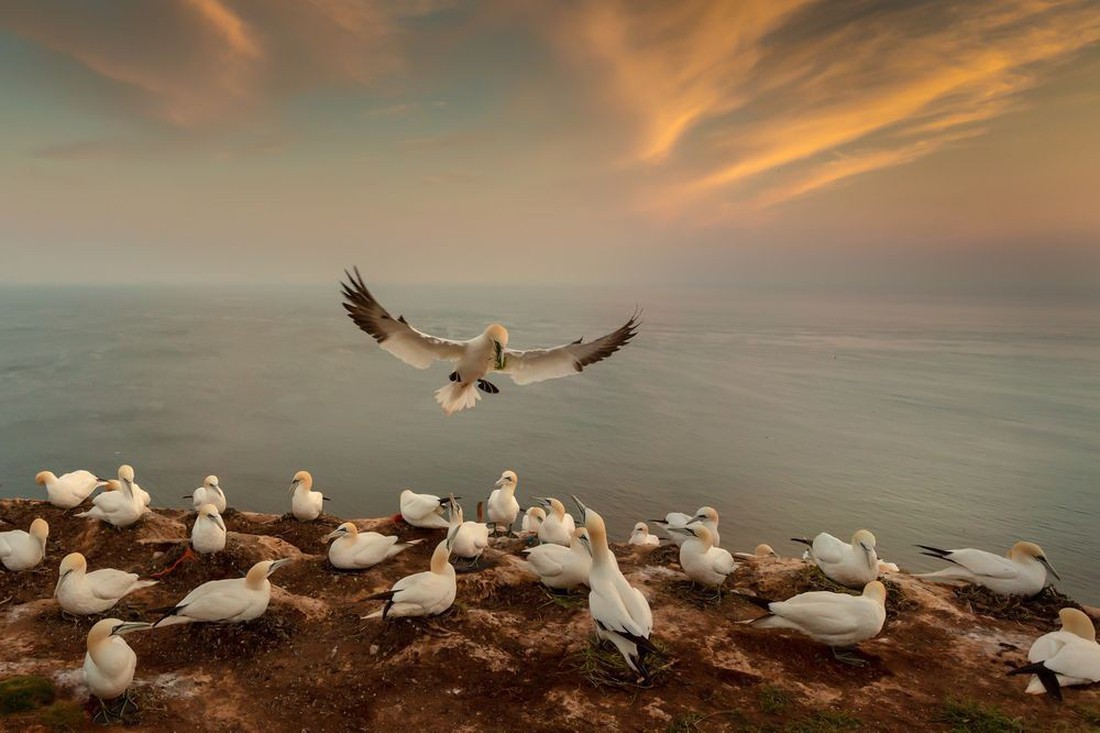 Ảnh thiên nhiên đẹp ngẩn ngơ từ cuộc thi ảnh du lịch NatGeo - Ảnh 9.