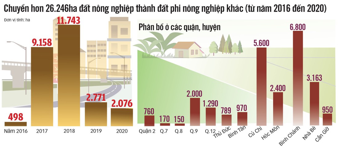 Đất nông nghiệp ở Bình Chánh, Củ Chi sẽ được chuyển đổi nhiều nhất - Ảnh 3.