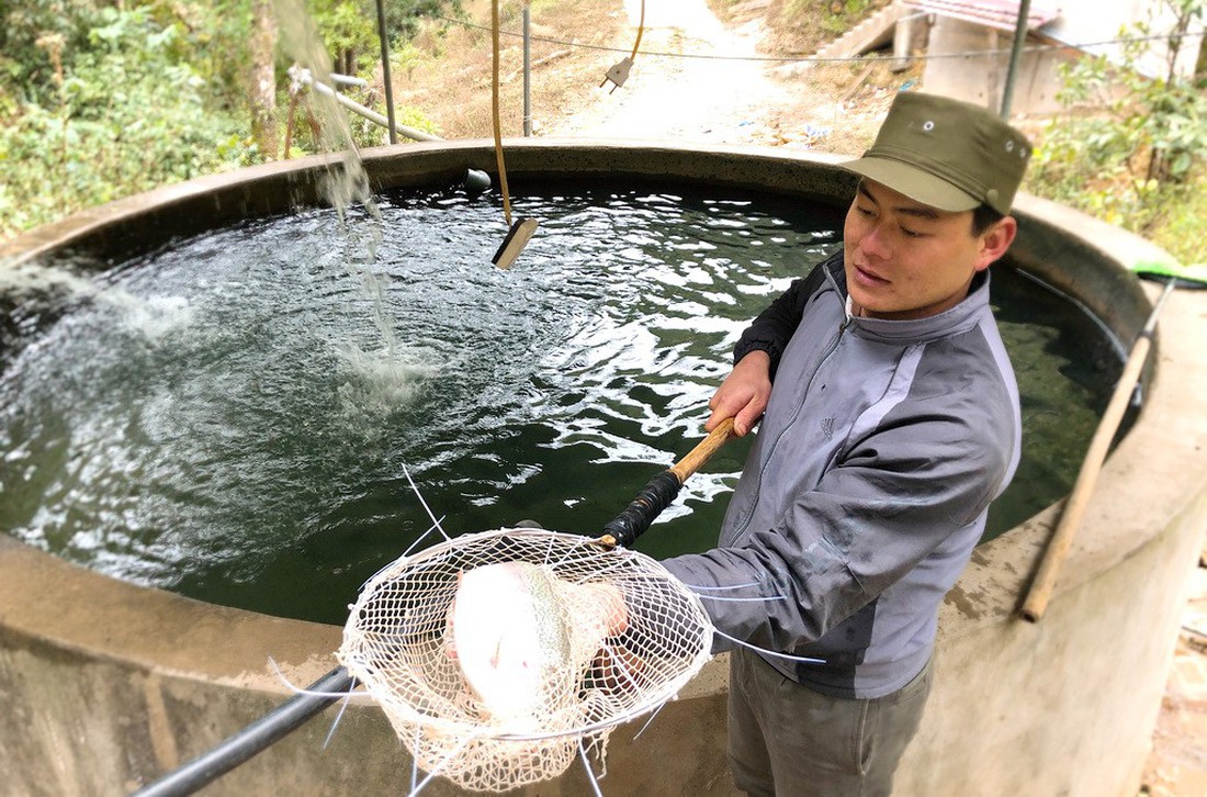 Sống trên đỉnh Mẫu Sơn - Ảnh 8.