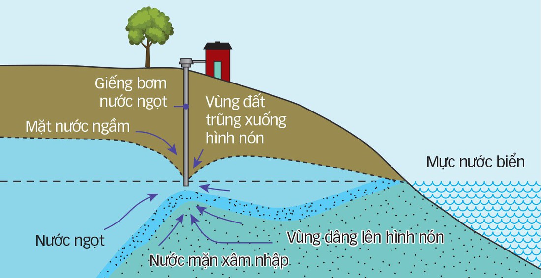 Chuyện gì đang xảy ra ở bãi biển Đà Nẵng? - Ảnh 6.