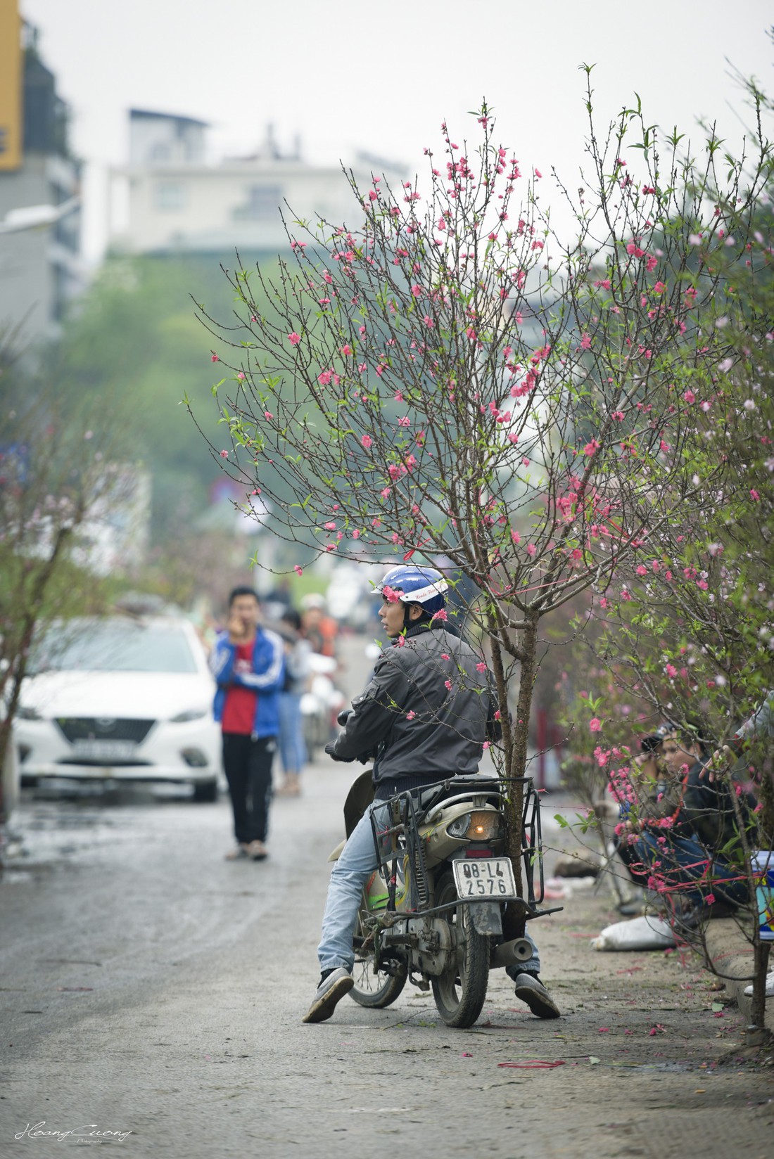 Vườn đào Nhật Tân rực sắc hồng đón Tết - Ảnh 8.