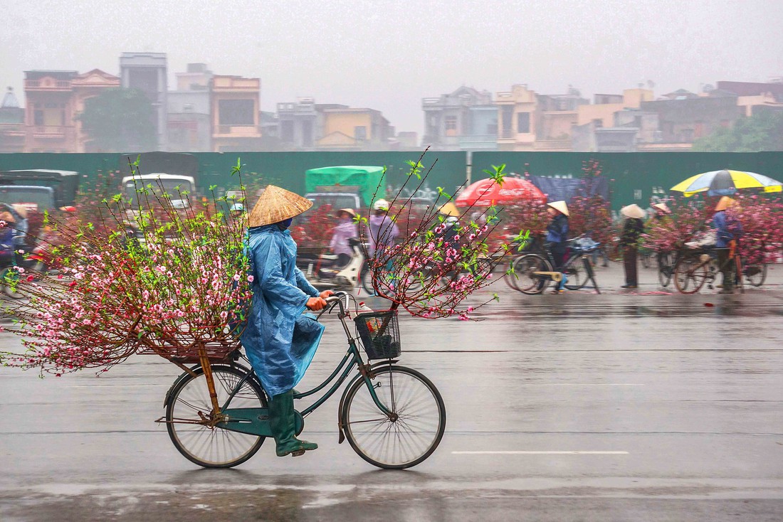 Sắc xuân Kỷ Hợi 2019 qua ống kính nhiếp ảnh gia TP.HCM - Ảnh 4.