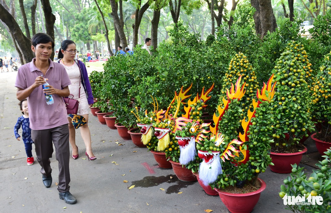 TP.HCM những ngày trên bến - dưới thuyền - công viên ngập hoa, kiểng - Ảnh 3.