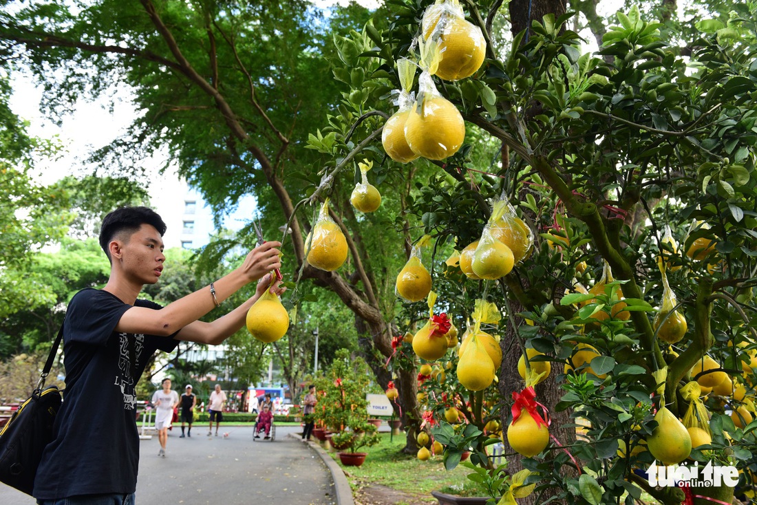 TP.HCM những ngày trên bến - dưới thuyền - công viên ngập hoa, kiểng - Ảnh 4.