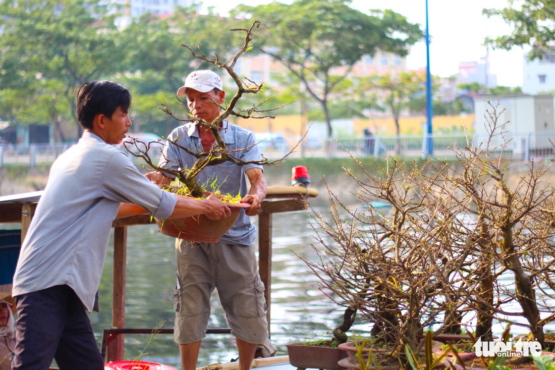 TP.HCM những ngày trên bến - dưới thuyền - công viên ngập hoa, kiểng - Ảnh 10.