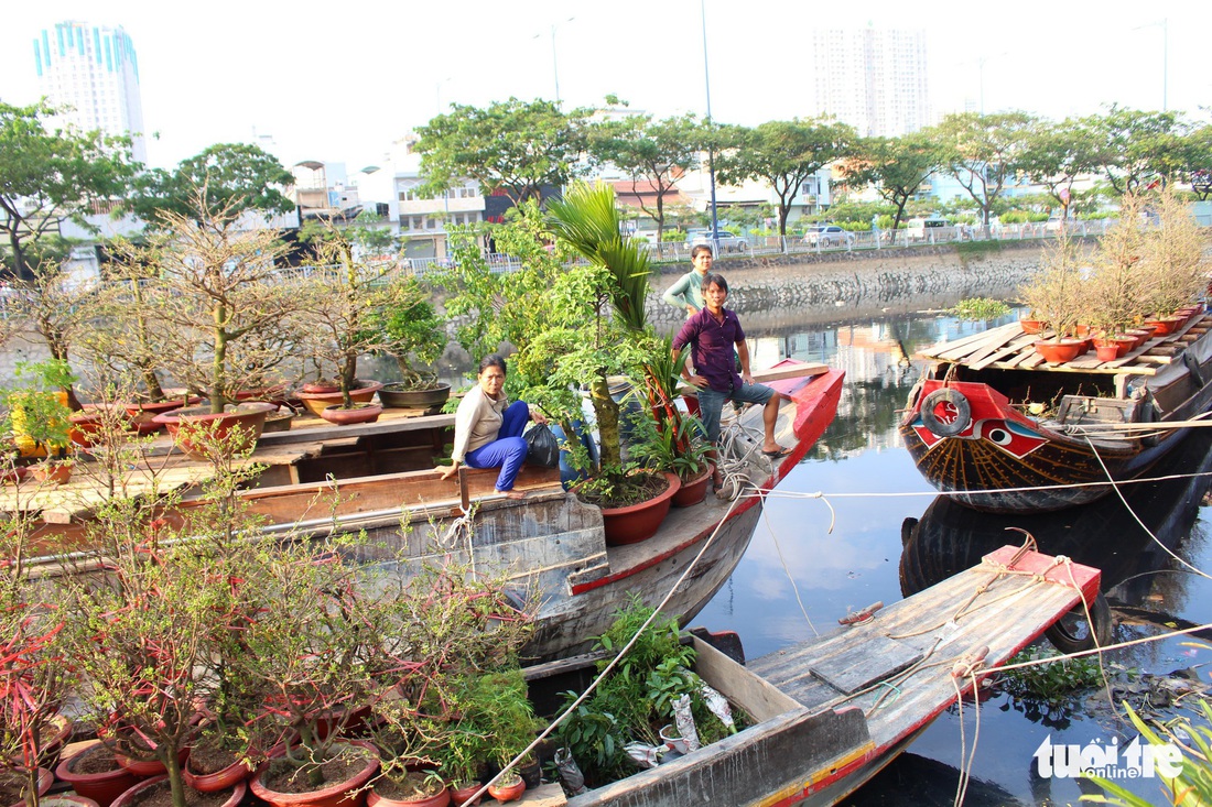 TP.HCM những ngày trên bến - dưới thuyền - công viên ngập hoa, kiểng - Ảnh 13.