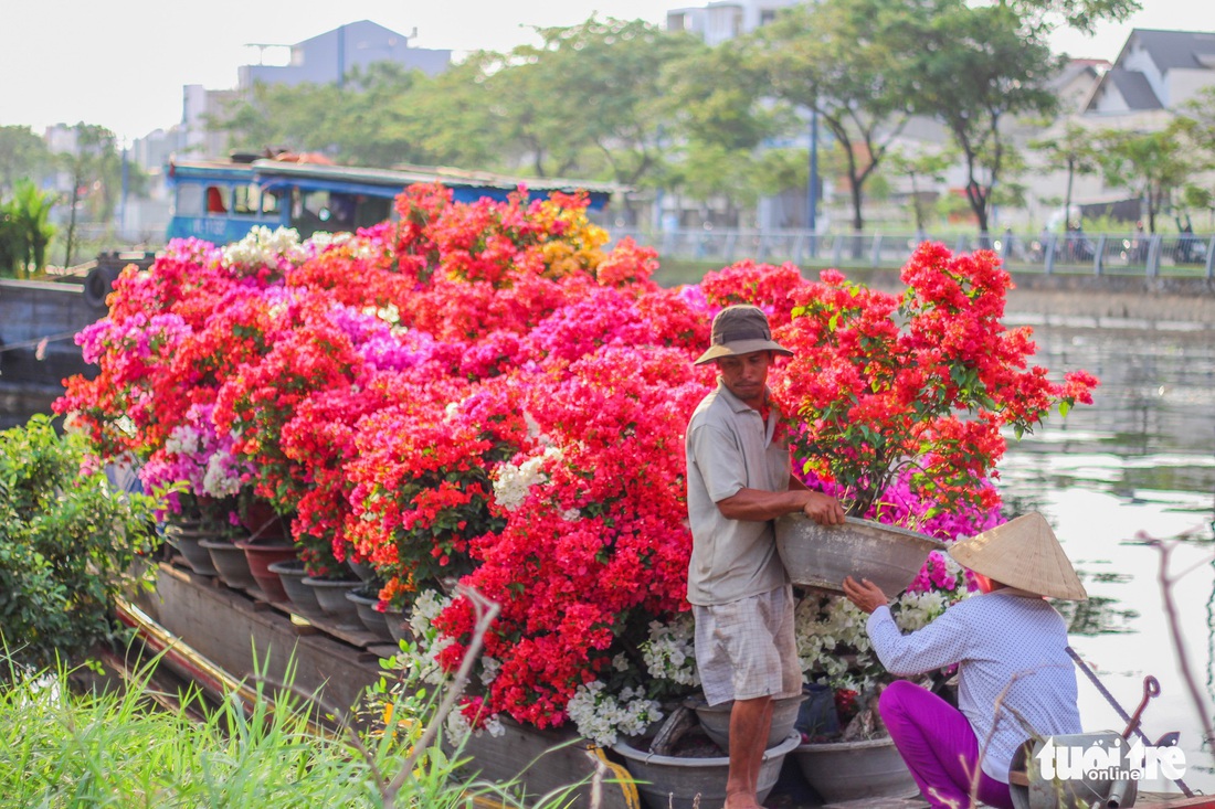 TP.HCM những ngày trên bến - dưới thuyền - công viên ngập hoa, kiểng - Ảnh 11.