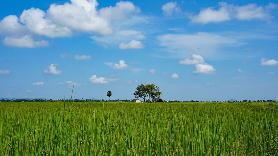 Hà Tiên, thành phố của những cánh đồng xanh - Ảnh 6.