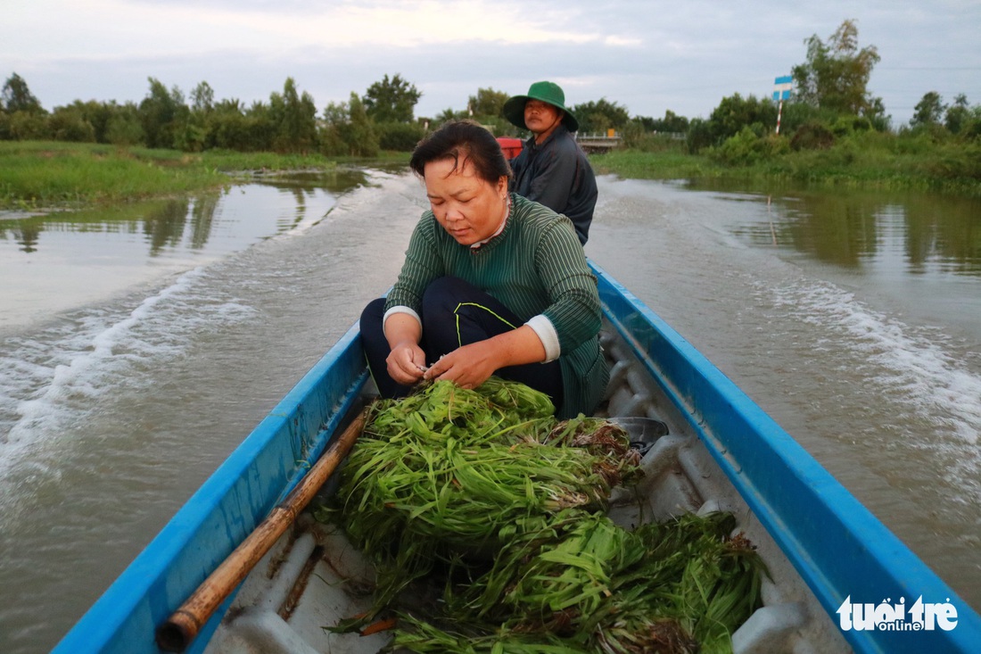 Tuyệt phẩm hẹ nước ăn kèm lẩu mắm, mắm kho - Ảnh 2.