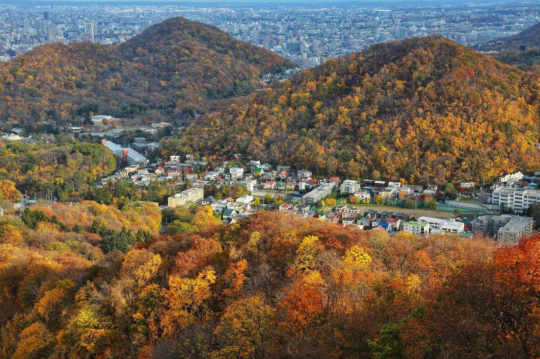 Thu vàng lộng lẫy của Hokkaido - gặp một lần đã là diễm phúc - Ảnh 1.