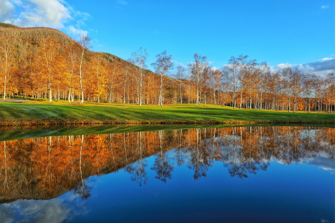 Thu vàng lộng lẫy của Hokkaido - gặp một lần đã là diễm phúc - Ảnh 10.