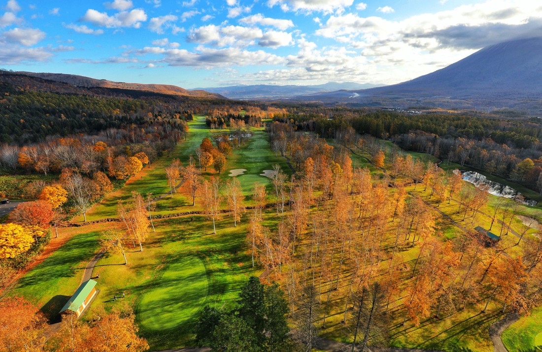 Thu vàng lộng lẫy của Hokkaido - gặp một lần đã là diễm phúc - Ảnh 14.