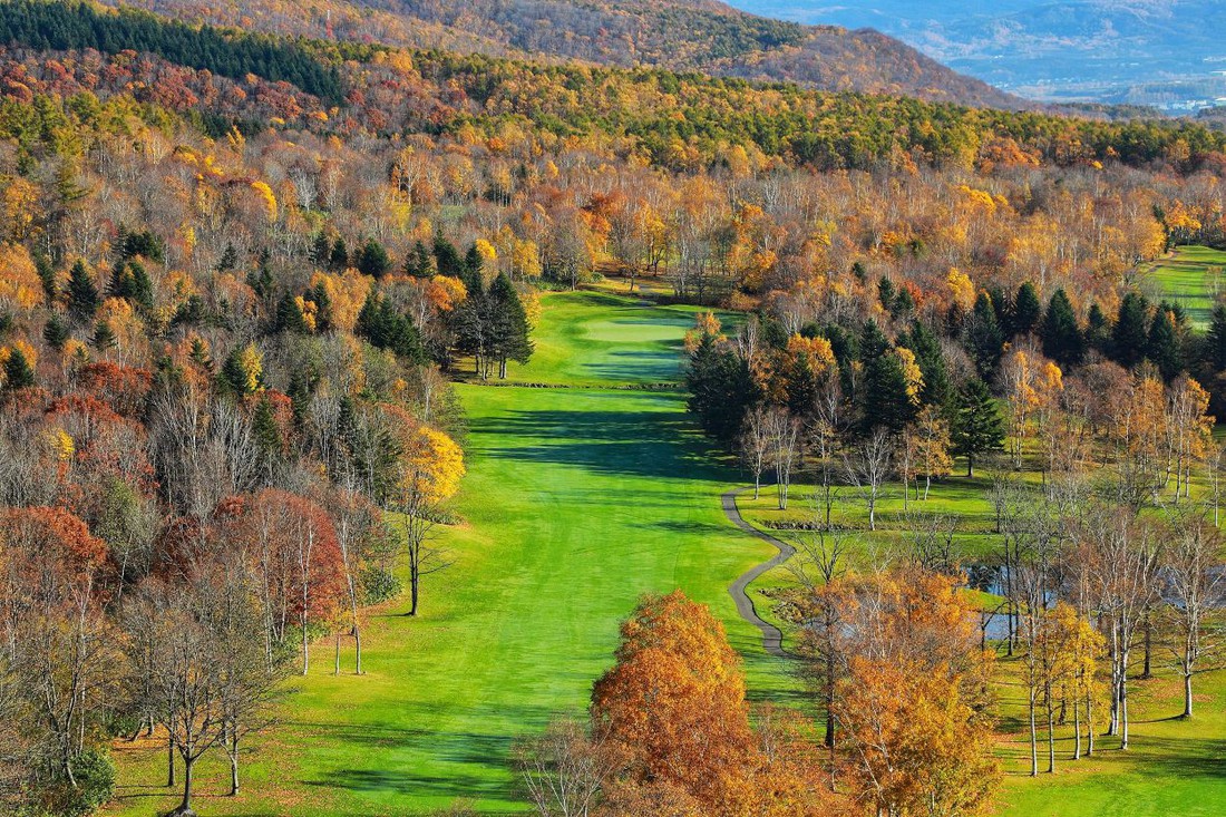 Thu vàng lộng lẫy của Hokkaido - gặp một lần đã là diễm phúc - Ảnh 13.